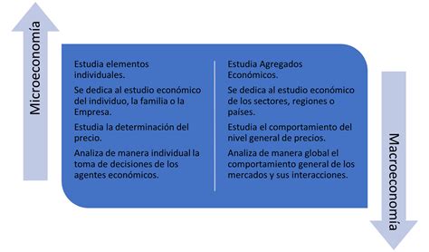 Microeconom A Y Macroeconom A Qu Son Y Diferencias Gestiopolis