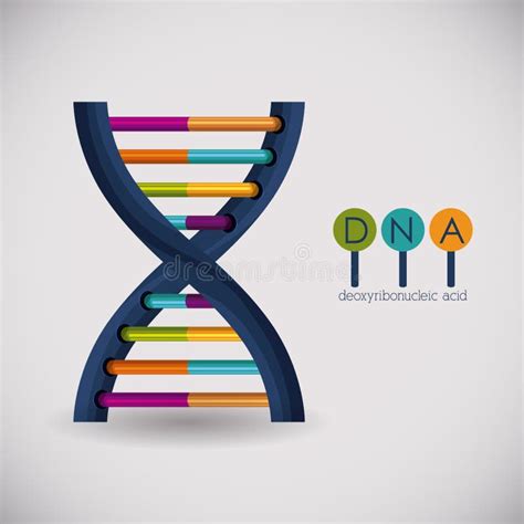 Conception De Chromosome De Structure D Adn Illustration De Vecteur