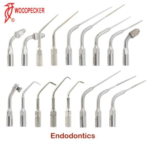 Woodpecker Uds Dental Ultrasonic Scaler Endo Tips Endodontics E1 E2 E9