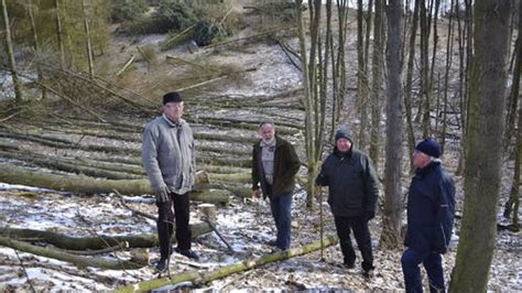 Wanderer und Naturschützer empört über Abholzung in Bollstedt