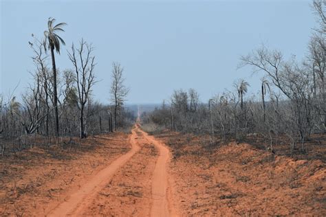 La Tragedia De Que Se Quemen Dos Ecosistemas Importantes Para Bolivia