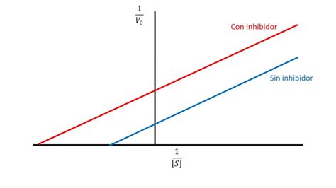 Cinética Enzimática Inhibición Acompetitiva Youtube