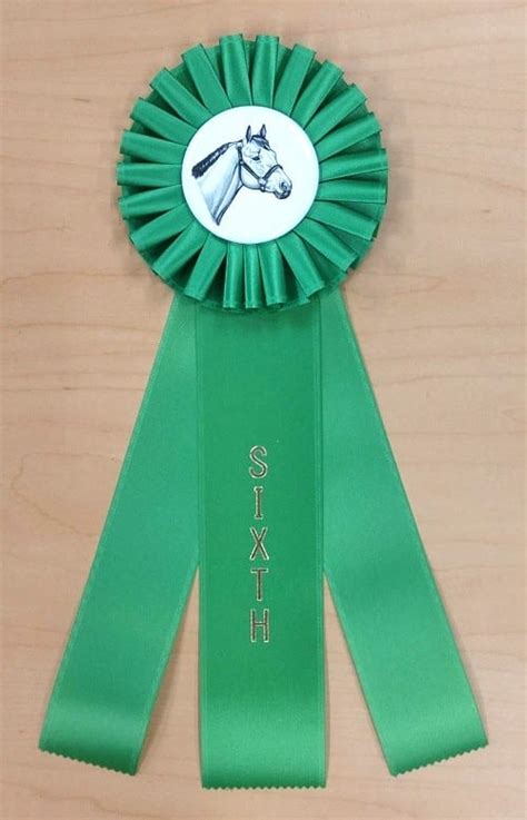 Quick Ship Horse Show Rosette Ribbons 1st 6th Place Mclaughlin