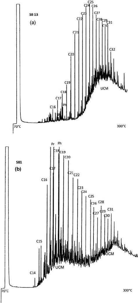 Gas Chromatographymass Spectrometry Gc Ms Tic Trace Showing The