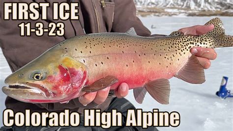 Very First Ice High Alpine Ice Fishing Colorado On Early Ice 11 01