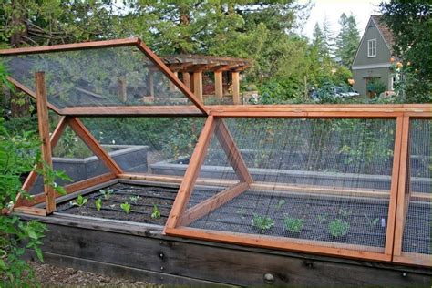 Zone 4B Vegetable Gardening — Vegetable Gardening News