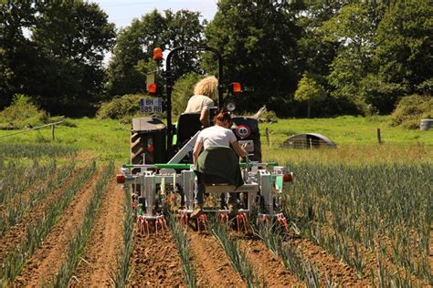 Lessentiel Sur Lagriculture Biologique Produire Bio En Bretagne