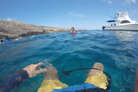 Isabela Island Snorkeling Tour Meet Endemic Species At Tuneles Cabo