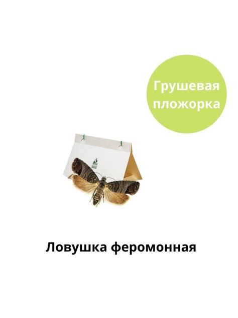 Ловушка феромонная Грушевая плодожорка - купить с доставкой по выгодным ...