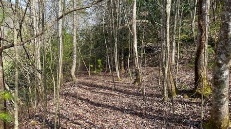 Unrestricted Mountain Views Close To Cherokee Natl Forest Whitetail