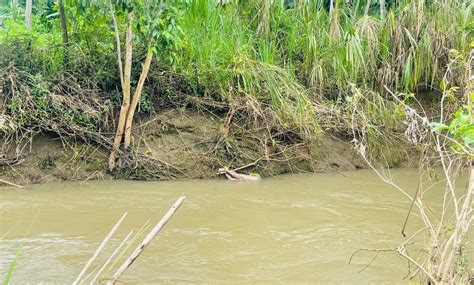 Macabro hallazgo en Babahoyo Encuentran cuerpo maniatado en el río