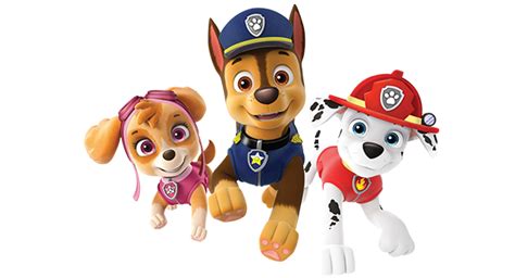 Image Videos Updatedpng Paw Patrol Wiki Fandom Powered By Wikia