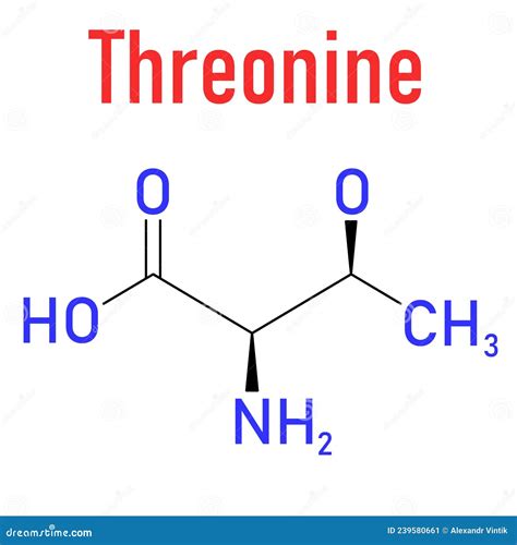 Threonine Or L-threonine, Thr, T, Amino Acid Molecule. Skeletal Formula ...