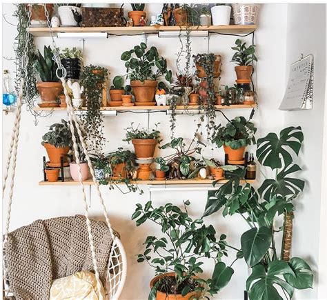 Threads Aesthetic Indoor Plants