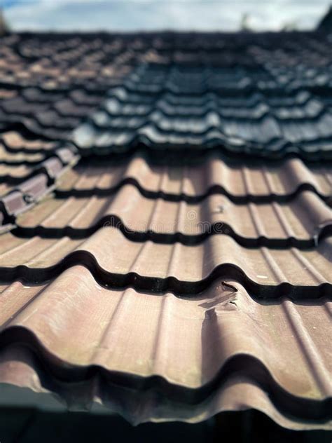 roof top stock photo image   roof sunday closer