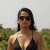 Anushka Hot Bikini And Cleavage Stills In Billa Cinesence