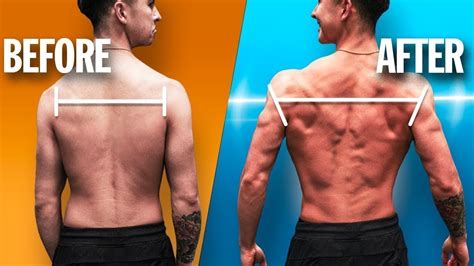 15 Best Back Exercises For Growth And How To Use Them Fastestwellness