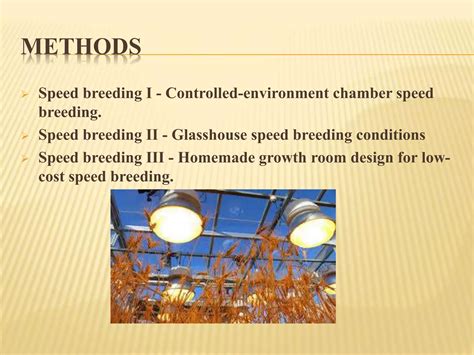 Speed Breeding Presentation Ppt