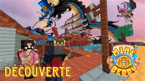 Mineberry D Couverte Et Pr Sentation Du Serveur One Piece Dans