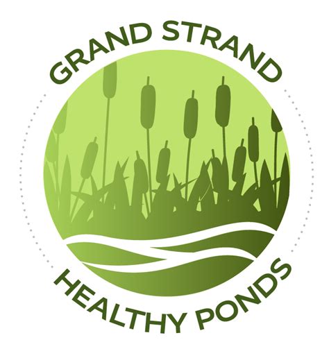 Stormwater Pond Information And Programming In The Coastal Zone Sc