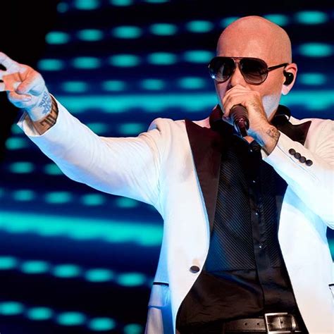 Pitbull Concert 2024 Ca Julie Margaux