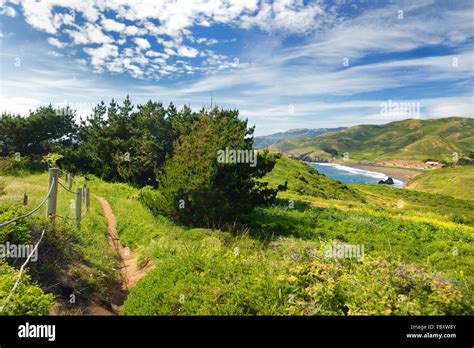 Green meadows and view of the Pacific Ocean at Point Bonita, California ...