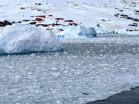 What We Wish We Knew Before Cruising To Antarctica