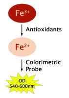 OxiSelect Ferric Reducing Antioxidant Power FRAP Assay Kit Cell