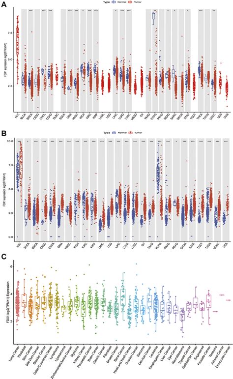 Differential Expression Of Fdx A Comparison Of Fdx Expressions