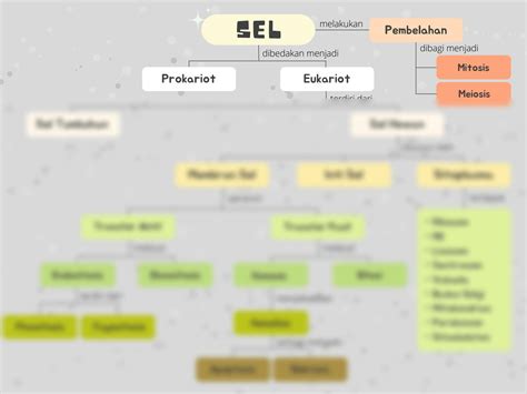 Solution Peta Konsep Sel Dan Membran Sel Studypool