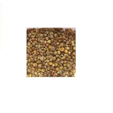 Natural Chrysanthemum Flower Seed At Rs 199pack In Salem Id 8517513448