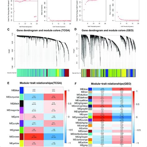 Differentially Co Expressed Genes Of Tcga And Gse74706 Datasets A Download Scientific