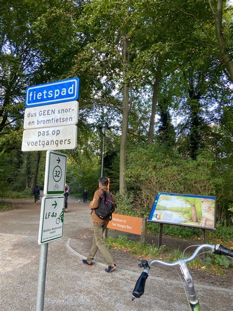 Excursie Haagse Bos Den Haag En Omstreken