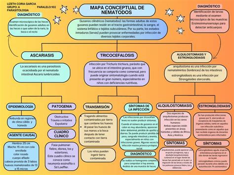 Mapa Conceptual De Parasitologia Smn Lizeth G Udocz