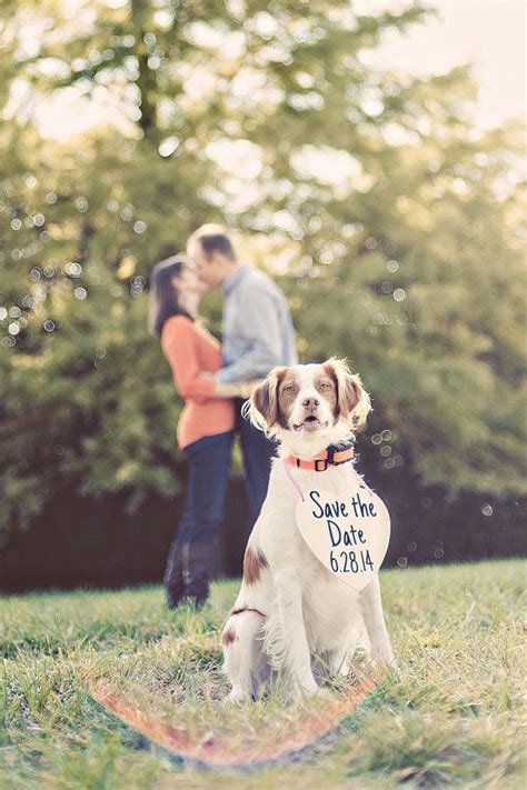 Perfectly Adorable Ways To Include Your Pet In Your Wedding