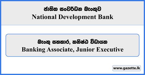 Junior Executive Senior Banking Associate Leasing Collections