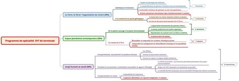 D Crypter Imagen Carte Mentale Svt Eme Genetique Fr Thptnganamst