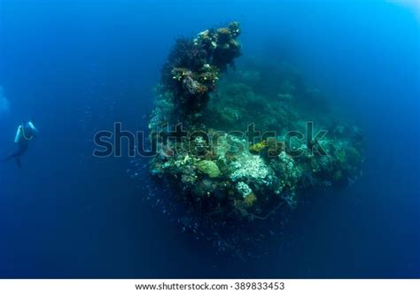 Scuba Diver Exploring Sunken Ship Covered Stock Photo 389833453