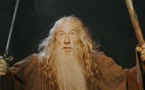 Ian Mckellen Gandalf You Shall Not Pass