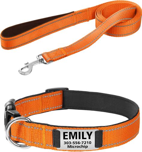 5 Sets De Collar Y Correa Para Sacar A Pasear A Tu Perro De Manera