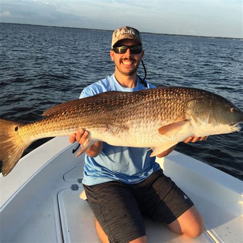 Trophy Red Drum Nc Redfish Eastern Nc Fishing Guide