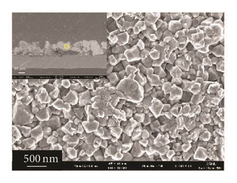 Enlarged Cross Sectional Fe Sem Images Of A C Fresh Electrodes And