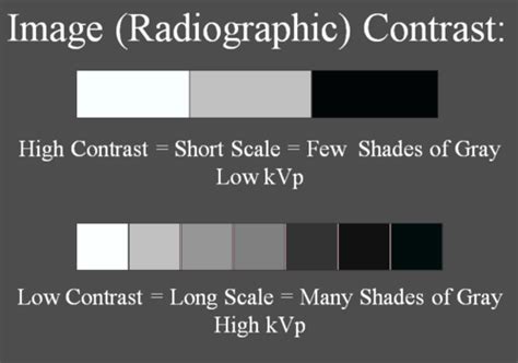 1 Imaging Quiz 1 Imaging Quiz 4 Imaging Quiz 8 DR Flashcards