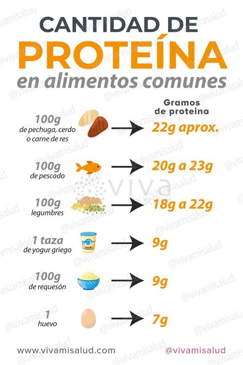 Cu Nta Prote Na Necesitas Consumir Alimentos Con Proteinas