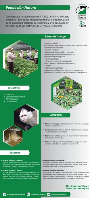 Conoce acerca de nuestro trabajo en Fundación Natura PDF