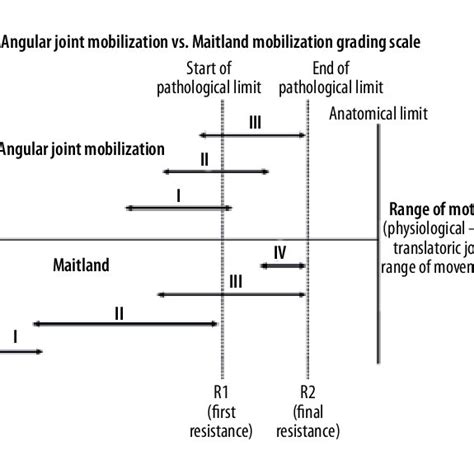 Arthrokinematic Rotation On Incongruent Joint A A Single Point On The