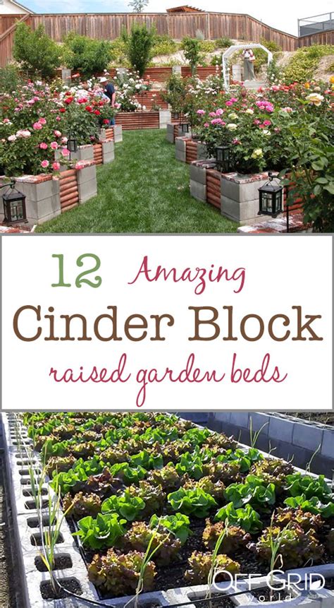 12 Amazing Cinder Block Raised Garden Beds Off Grid World