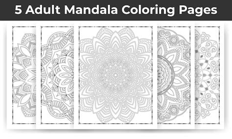 Premium Vector Adult Mandala Coloring Page Bundle For Kdp Interior