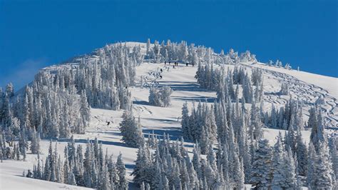 Resorts in Alta from $166/night - KAYAK