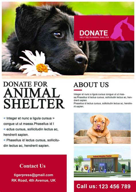 Animal Shelter Business Flyers